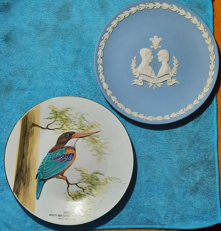 Two Plates  Dia 20 and 22 cm one Hand Painted King fisher and one Wedgewood Charles and Diana 1981
