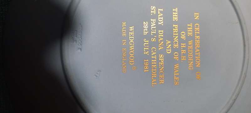 Two Plates  Dia 20 and 22 cm one Hand Painted King fisher and one Wedgewood Charles and Diana 1981