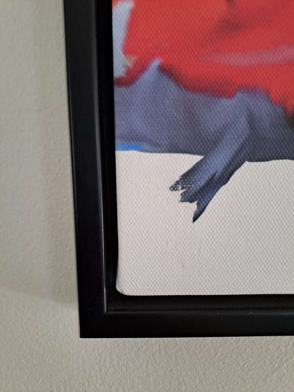 Teo Rizzardi Framed Print