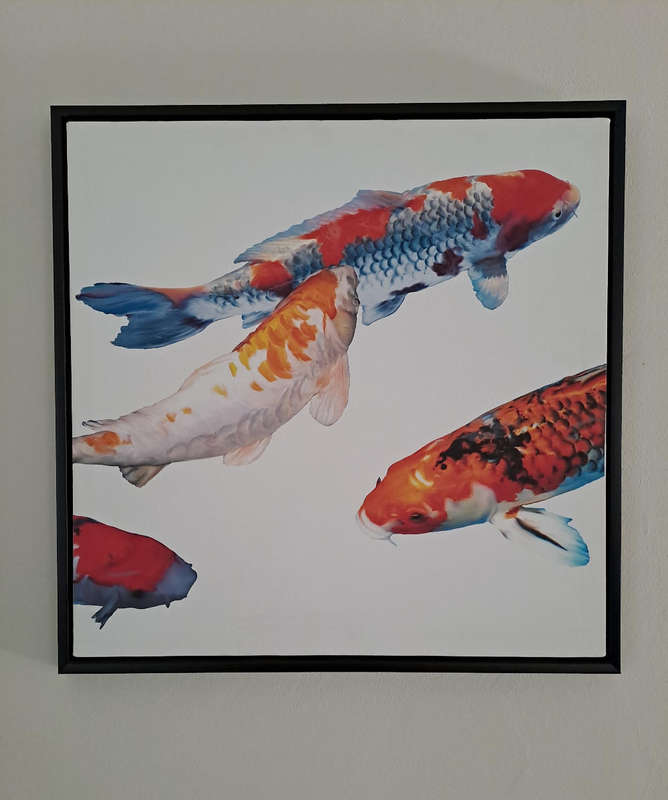 Teo Rizzardi Framed Print