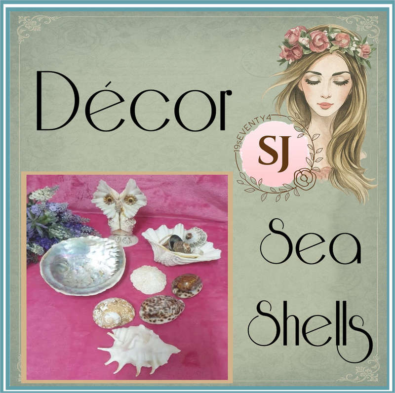 Sea Shells