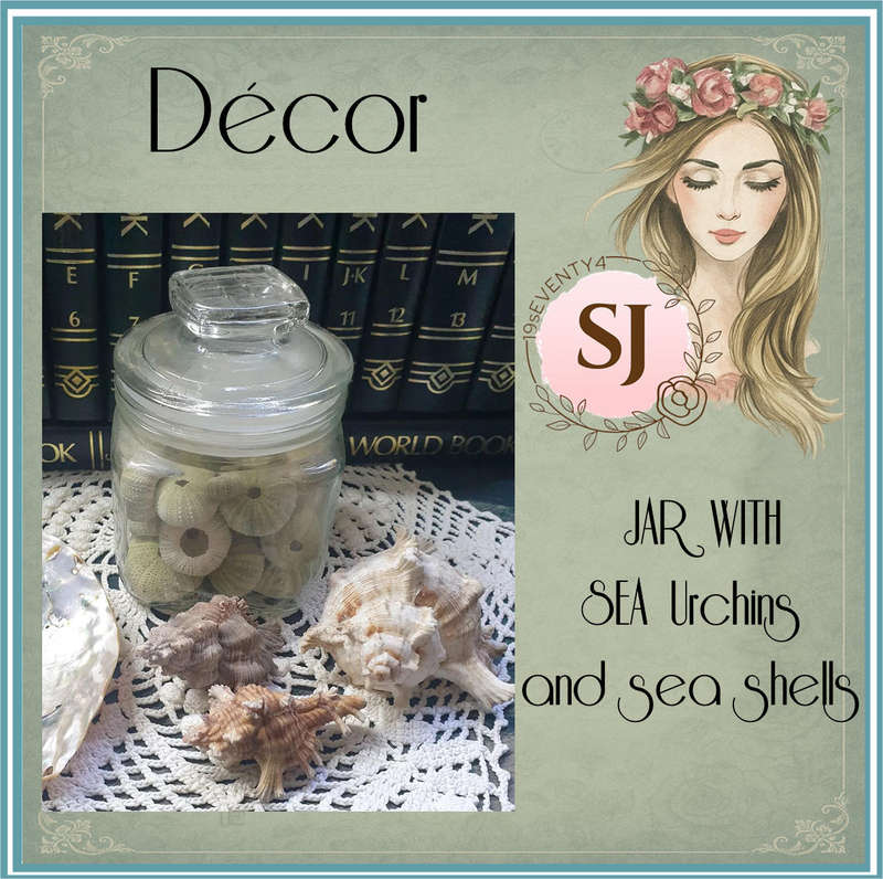 Sea Urchins in Jar with Sea Shells