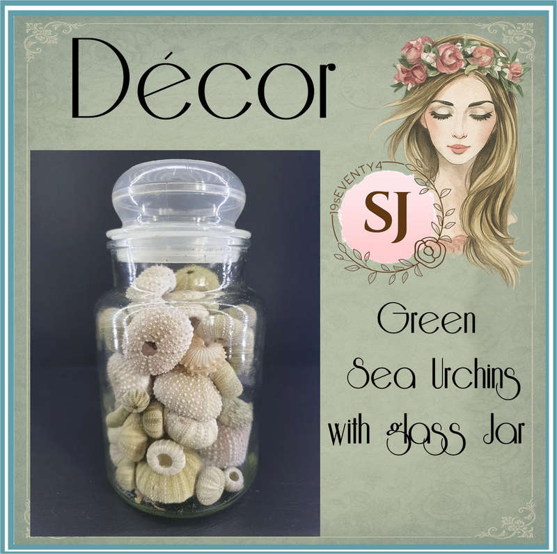Sea Urchins in Bottle  for Your Collection