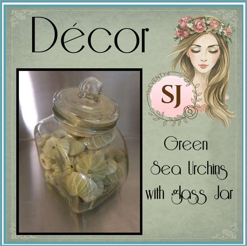 Green Sea Urchins with glass Jar