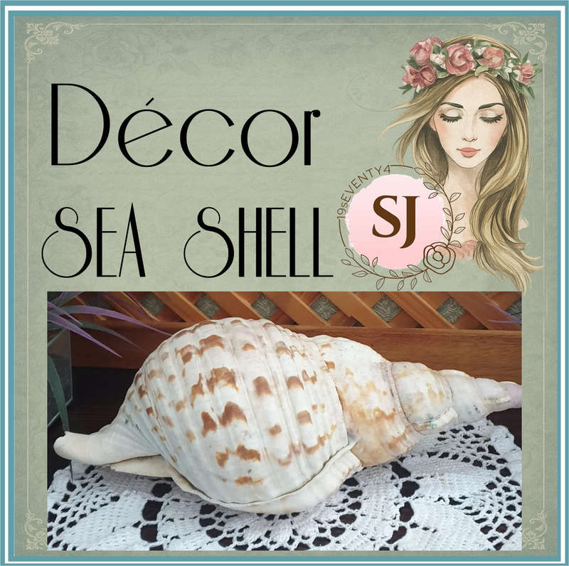 CONCH SEA SNAIL SHELL | LARGE | VERY GOOD CONDITION | DECOR |