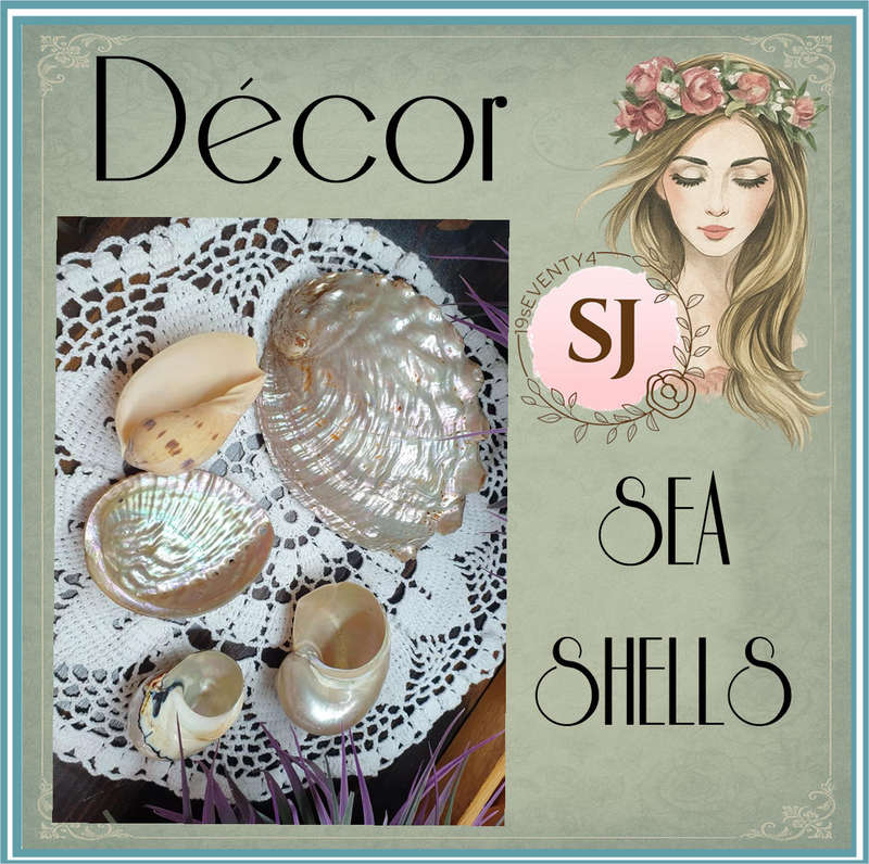 SEA SHELLS | DECOR | HOME |