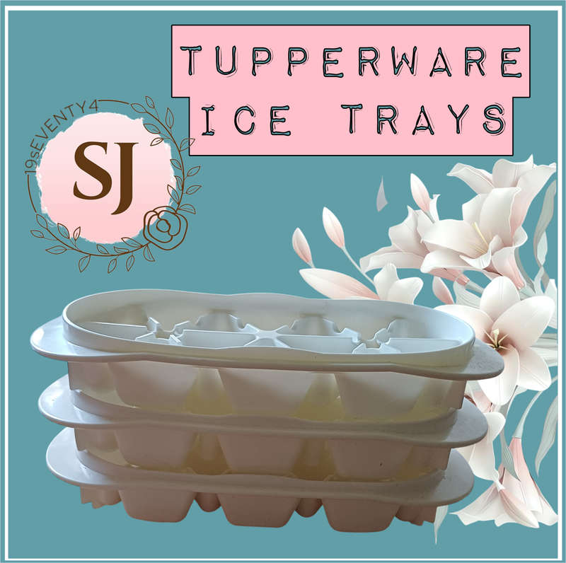 Tupperware Ice Cube Tray | 22 X 10 X 3.5 CM HIGH |
