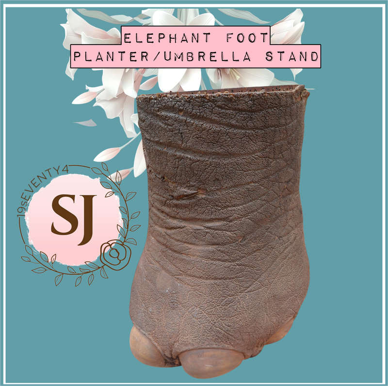 Vintage Elephant Foot