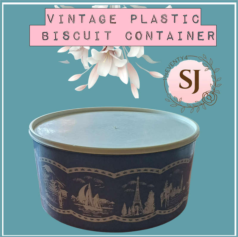 Vintage Plastic Blue and White Biscuit Container