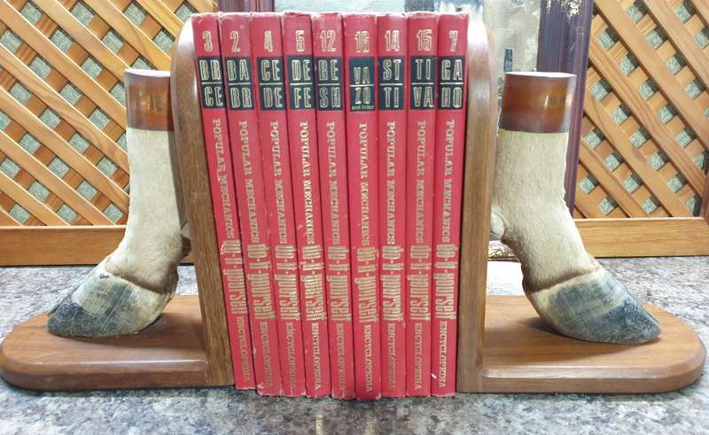 Stunning set Taxidermy book ends- Rare find
