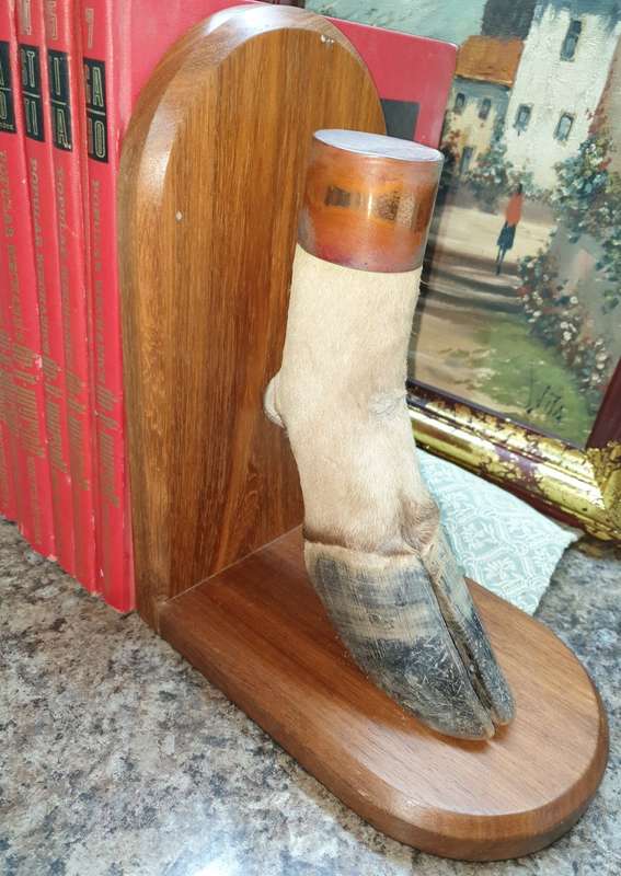 Stunning set Taxidermy book ends- Rare find