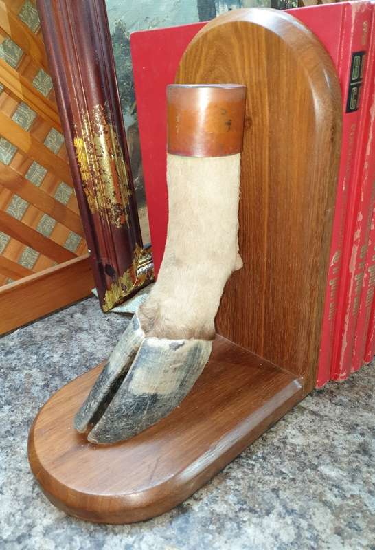 Stunning set Taxidermy book ends- Rare find