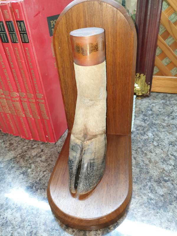 Stunning set Taxidermy book ends- Rare find