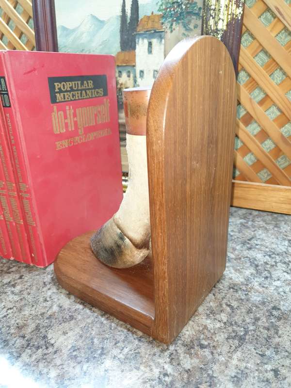 Stunning set Taxidermy book ends- Rare find