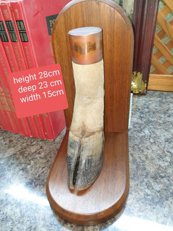 Stunning set Taxidermy book ends- Rare find