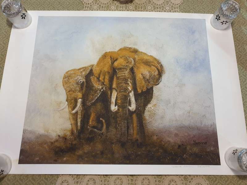 Yvonne Janvier -Elephant- Original signed print A1 size