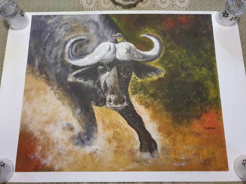 Yvonne Janvier -Buffalo- Original signed print A1 size