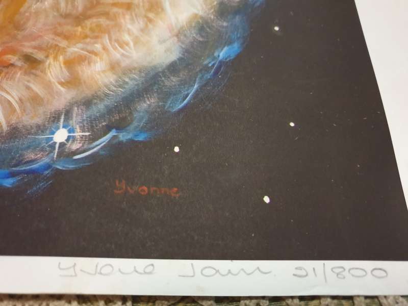 Yvonne Janvier -Light Echo- Original A3 size- signed print