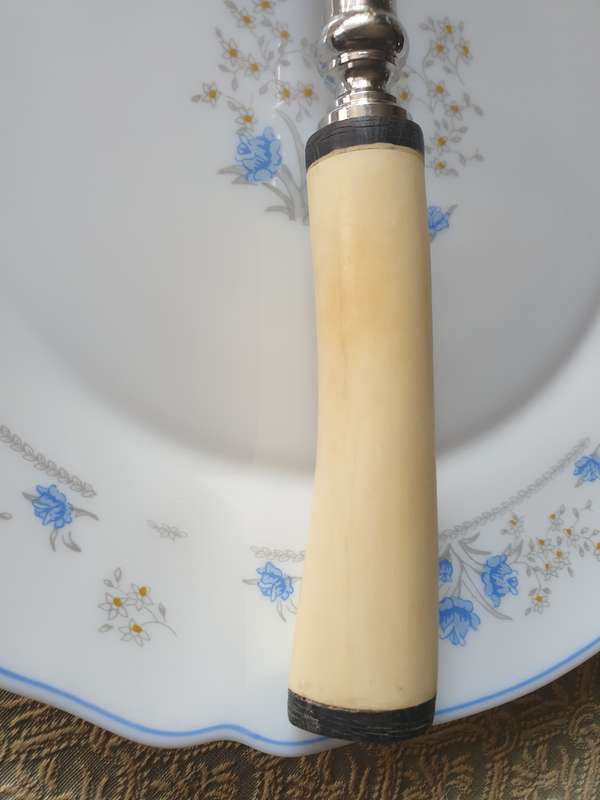 Bone Handle Cheese Knife