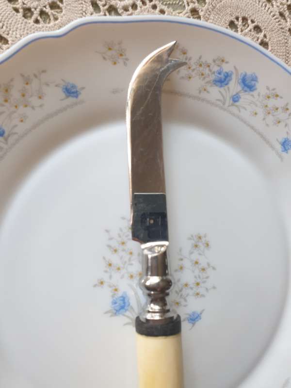 Bone Handle Cheese Knife