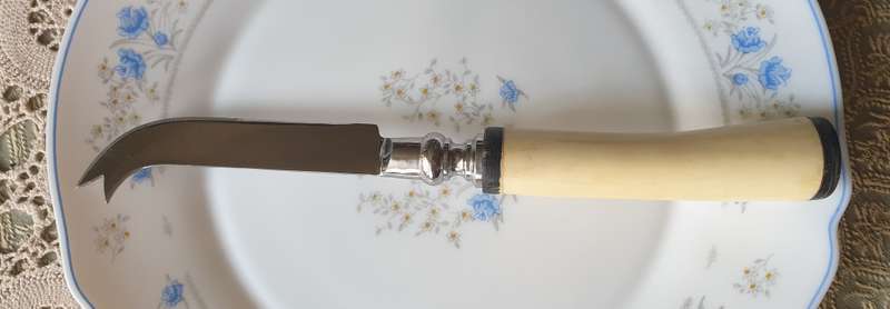 Bone Handle Cheese Knife