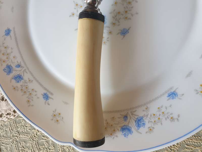 Bone Handle Cheese Knife