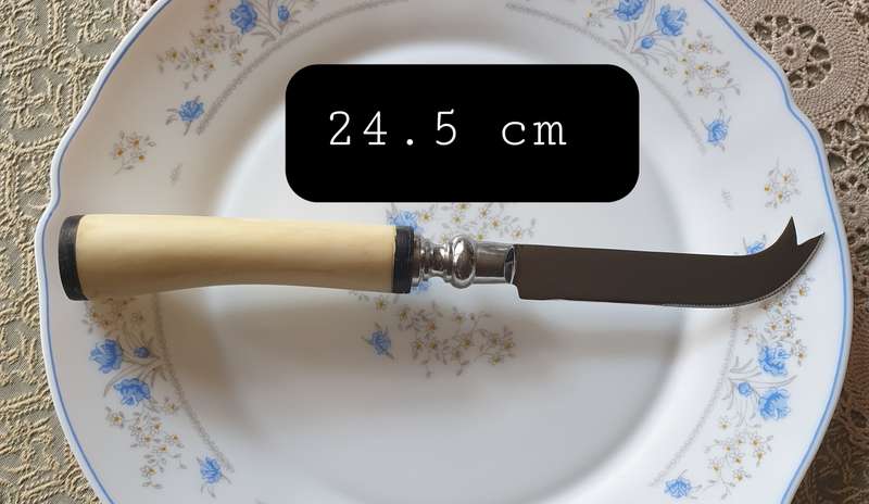 Bone Handle Cheese Knife