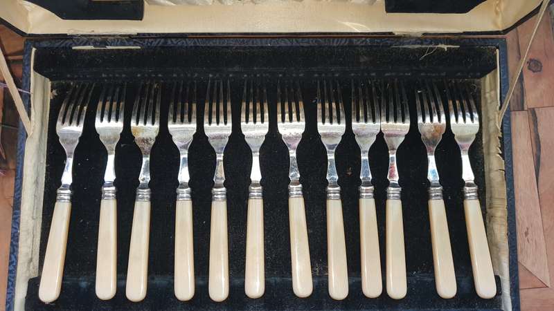 Vintage fish set from the 1950s