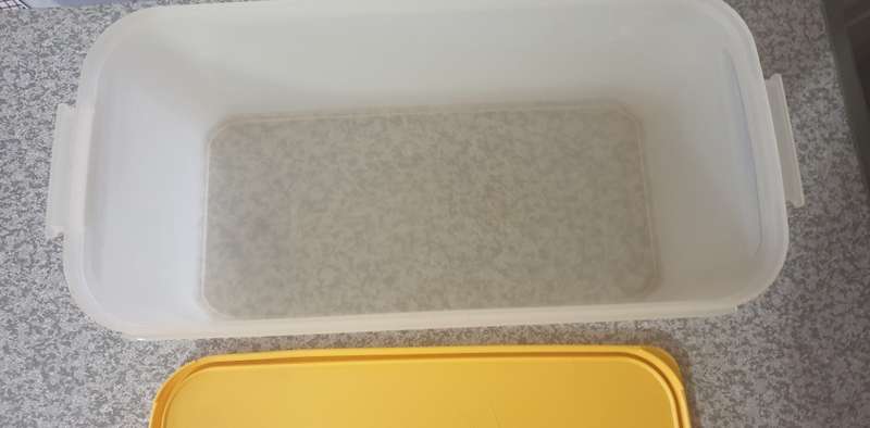 LARGE VINTAGE TUPPERWARE CONTAINER
