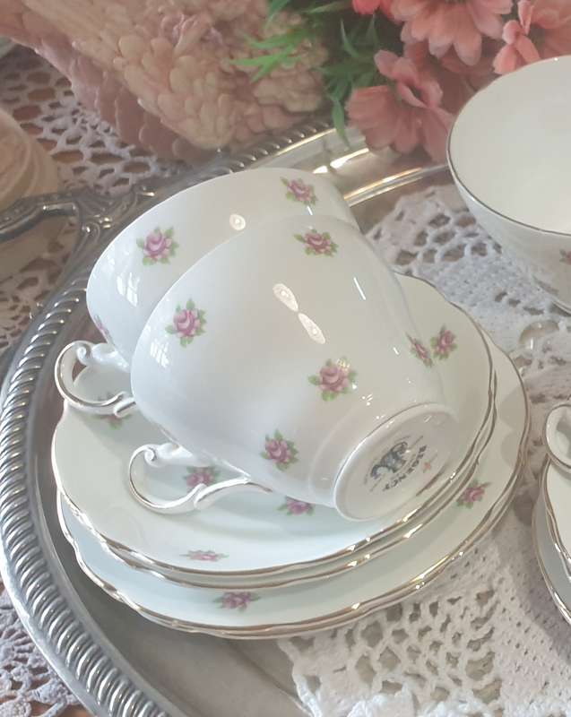 Vintage Regency Bone China Tea set with 6 Trio`s - Made in England