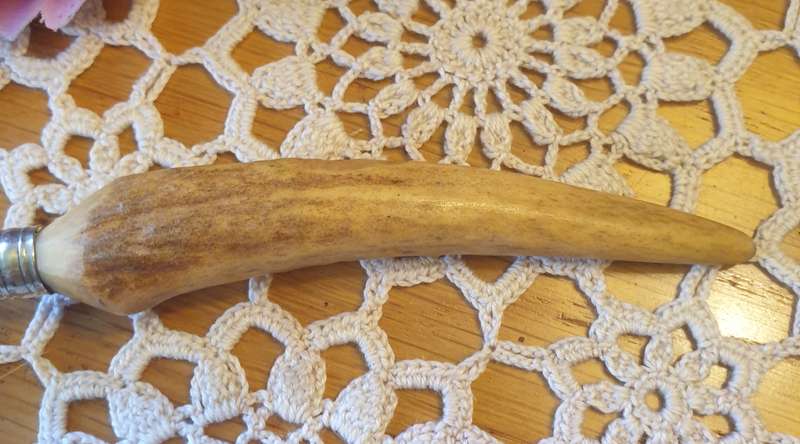 Vintage Bone handle silver plated EPNS pickle fork