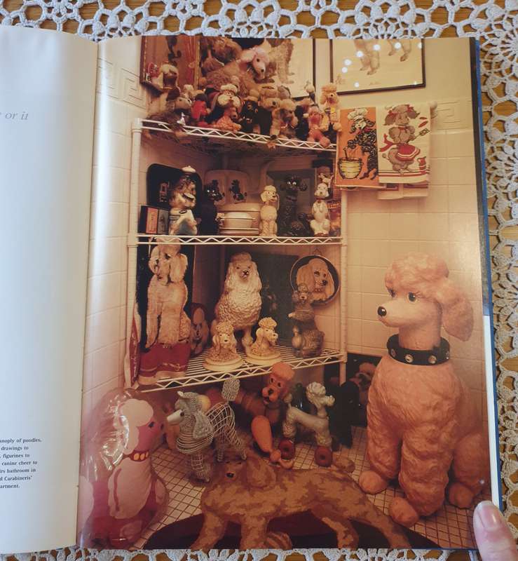 Obsessions: Collectors and Their Passions |  Hardcover |  Book |