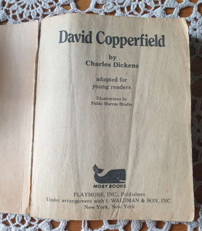 SET OF VINTAGE BOOKS | DECOR |