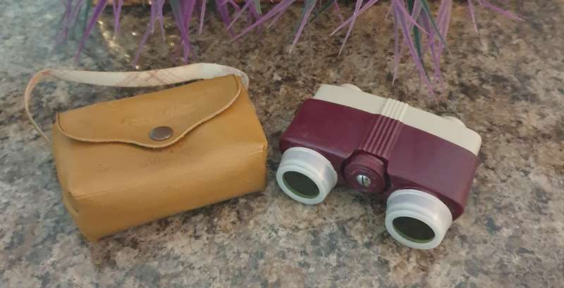 VINTAGE OPERA GLASSES WITH CASE