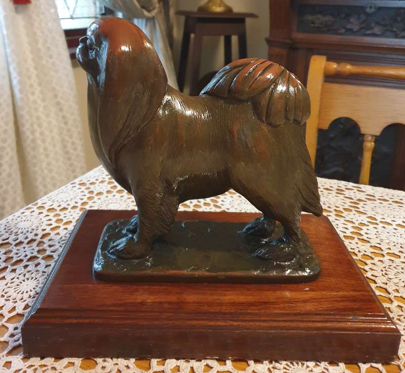 Solid Bronze Dog Sculpture by well known South African artist - Carlos Neto