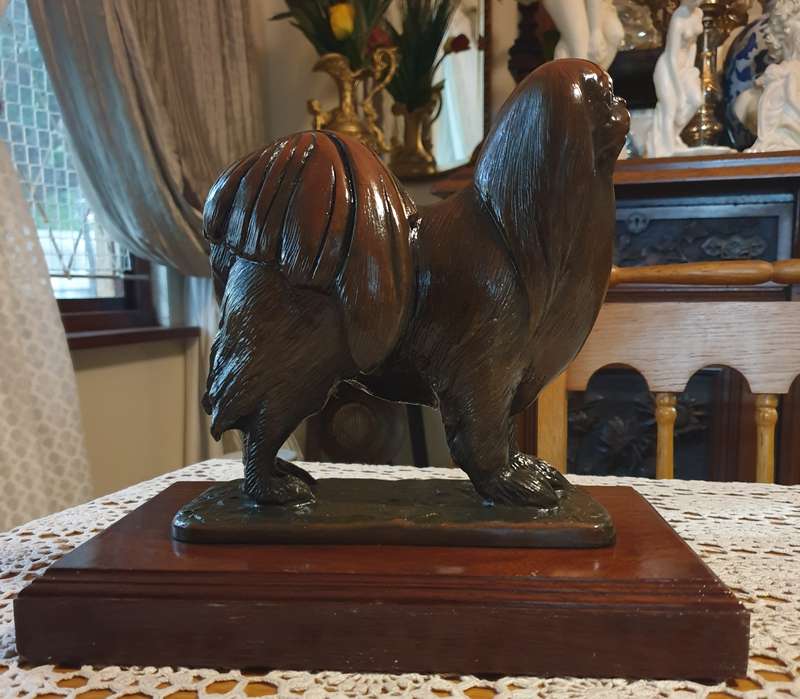 Solid Bronze Dog Sculpture by well known South African artist - Carlos Neto