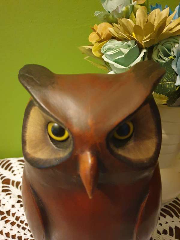 Large Feathers of Knysna Gallery carved and hand painted Ltd Owl
