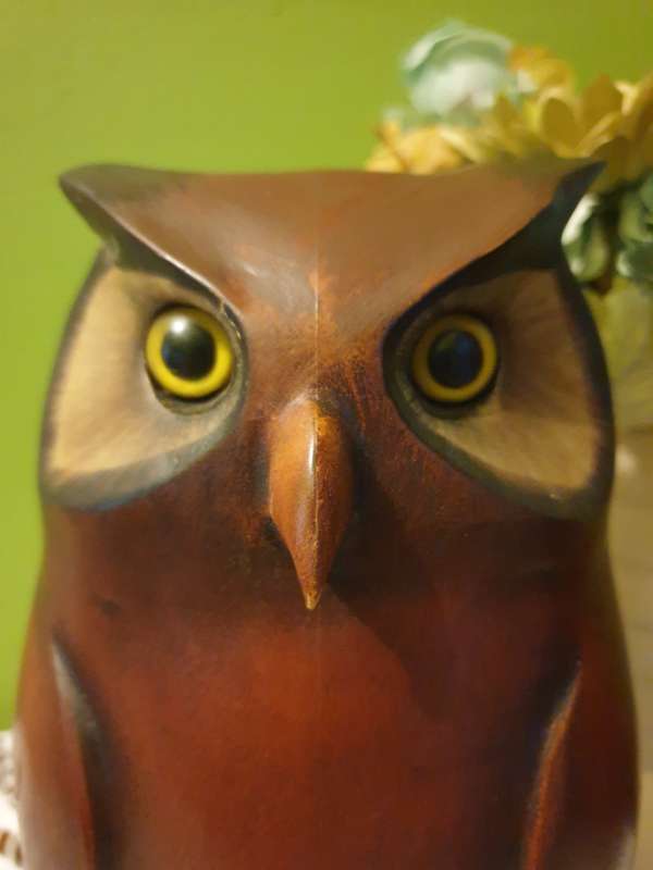 Large Feathers of Knysna Gallery carved and hand painted Ltd Owl