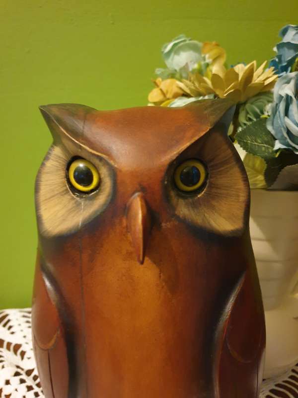 Large Feathers of Knysna Gallery carved and hand painted Ltd Owl (02)