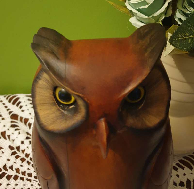 Large Feathers of Knysna Gallery carved and hand painted Ltd Owl (02)