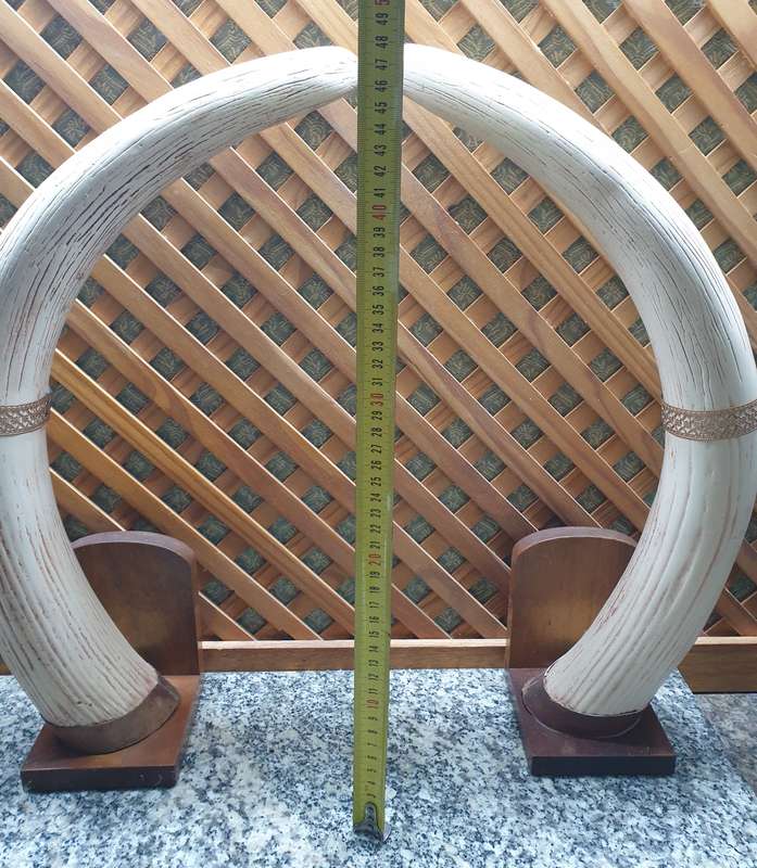 Resin Artwork | Pair of Large Faux Ivory Elephant for Household, Shrine, Altar, Decor