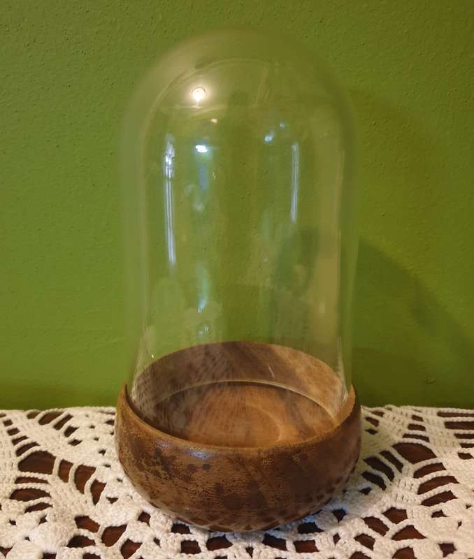 Plastic DISPLAY DOME WITH  wooden BASE