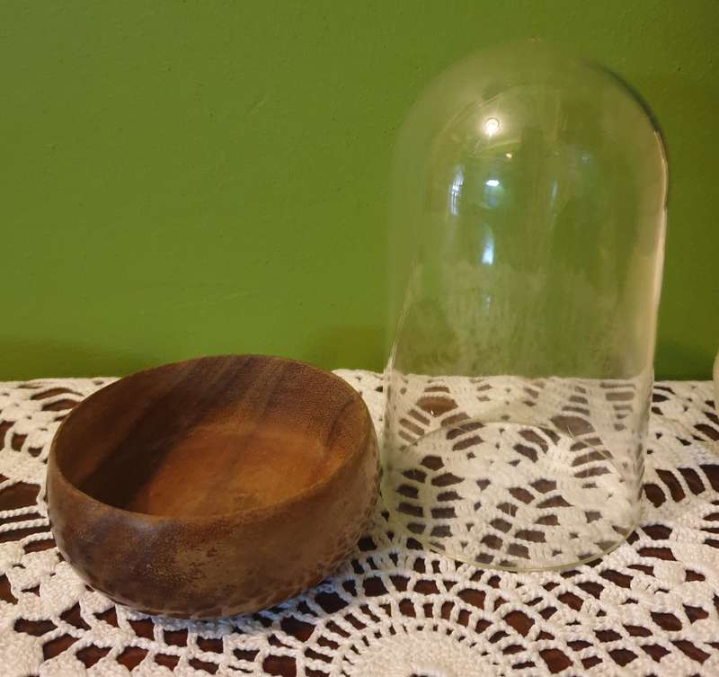 Plastic DISPLAY DOME WITH  wooden BASE