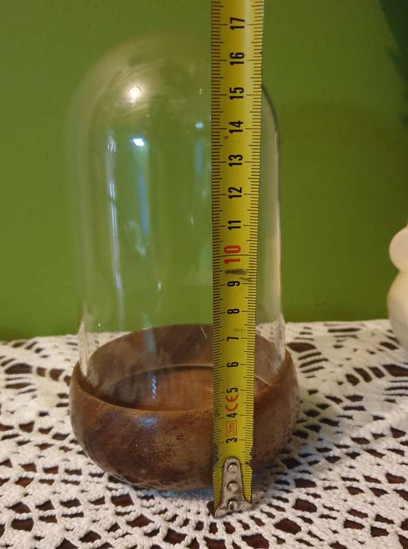 Plastic DISPLAY DOME WITH  wooden BASE