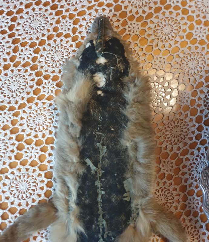Shawl vintage