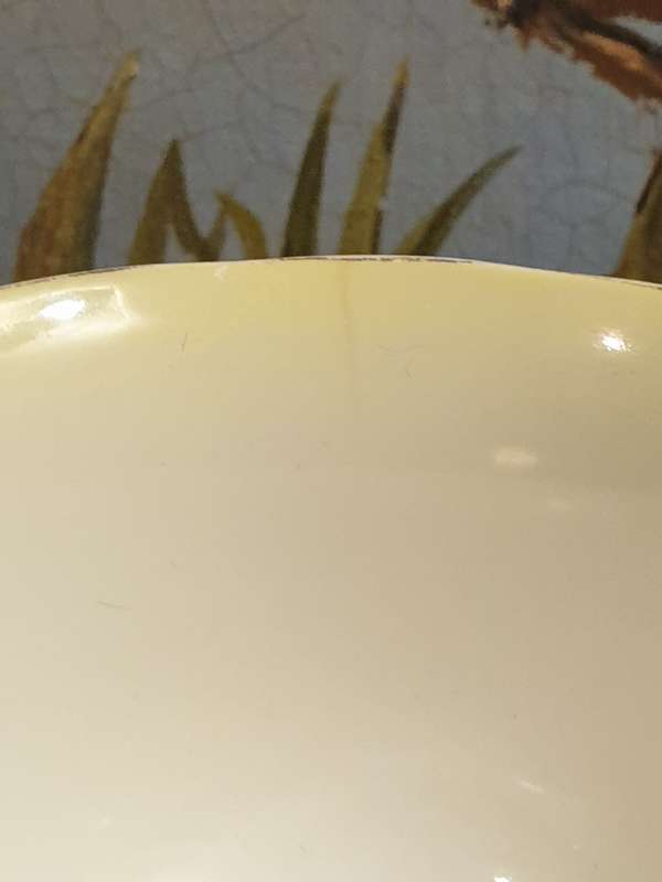 Royal Albert Vintage Teacups and Saucers | Bone China | Yellow  |