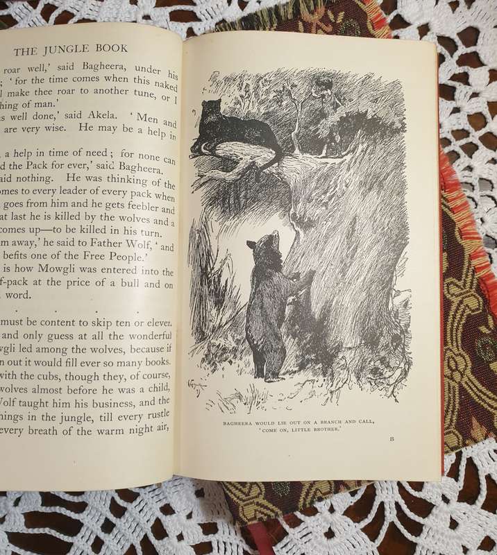 SET OF VINTAGE BOOKS | DECOR |
