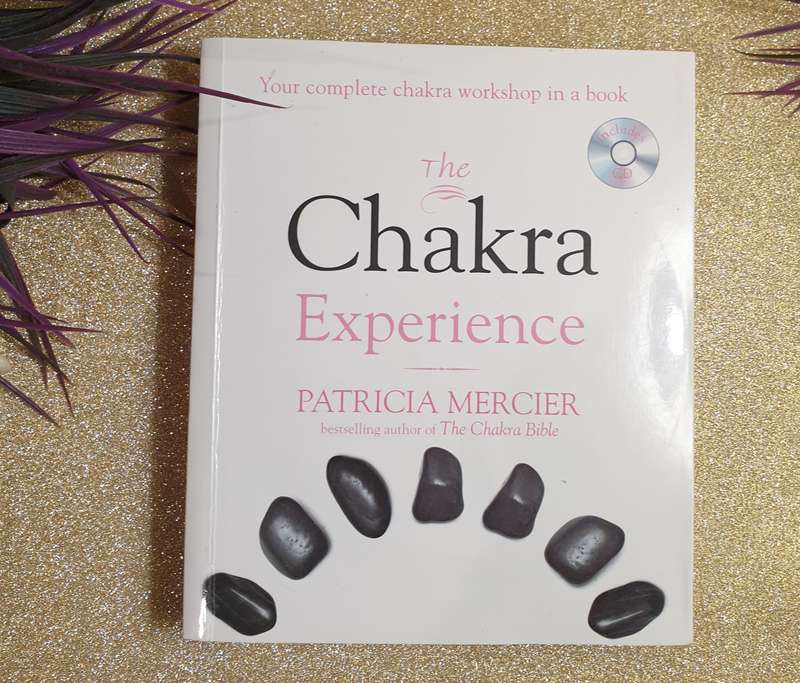 The Chakra Experience