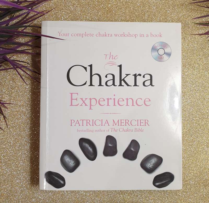 The Chakra Experience