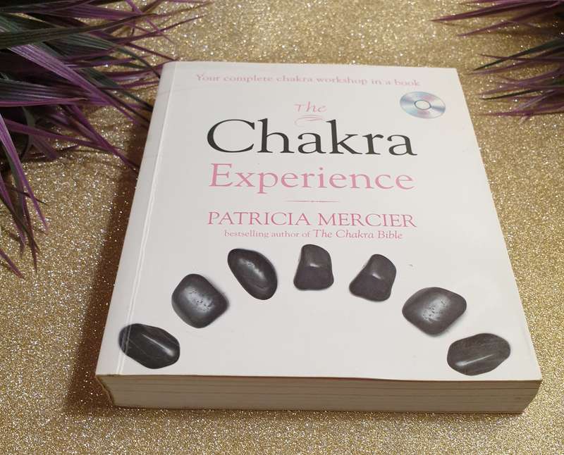 The Chakra Experience